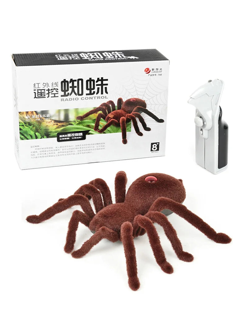 SpiderMotion