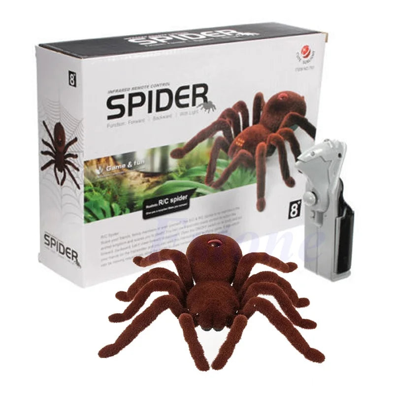 SpiderMotion