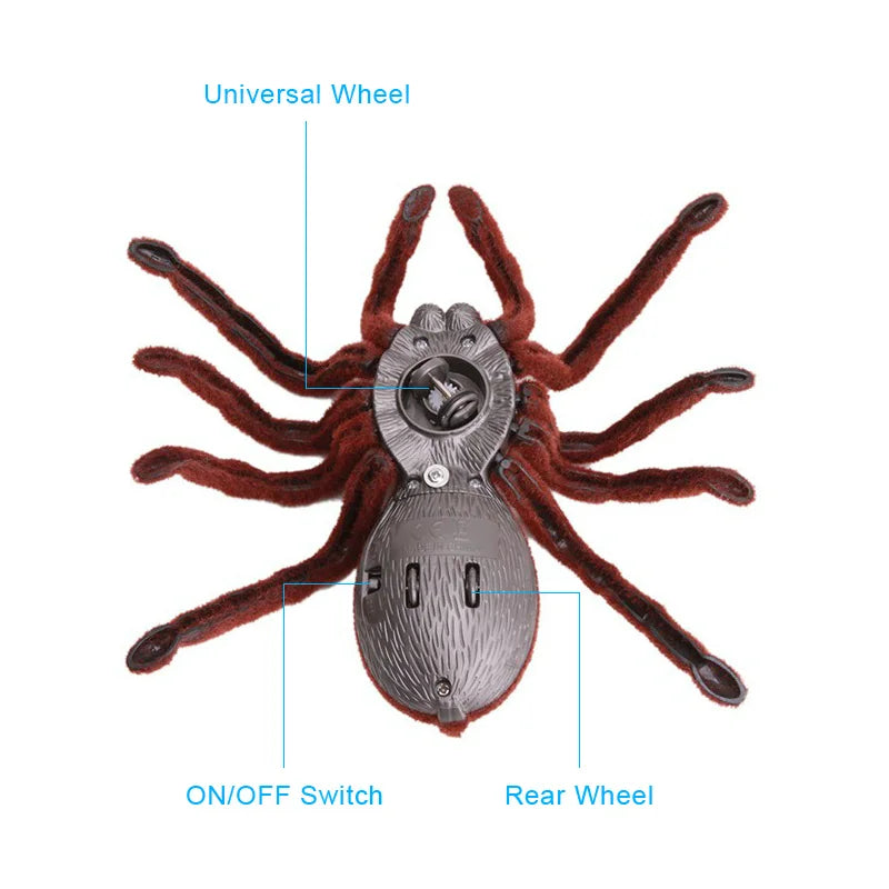 SpiderMotion
