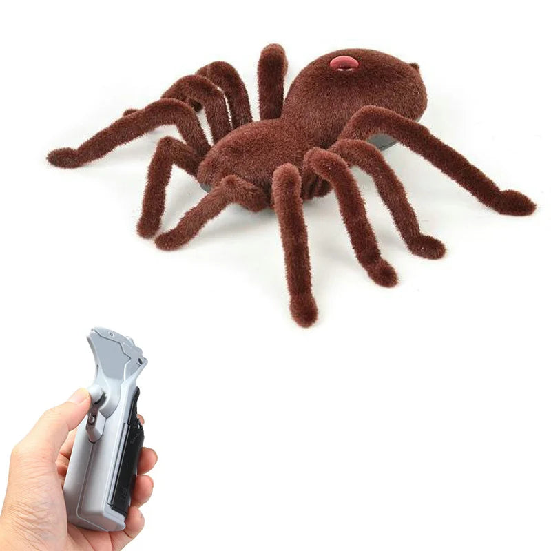SpiderMotion